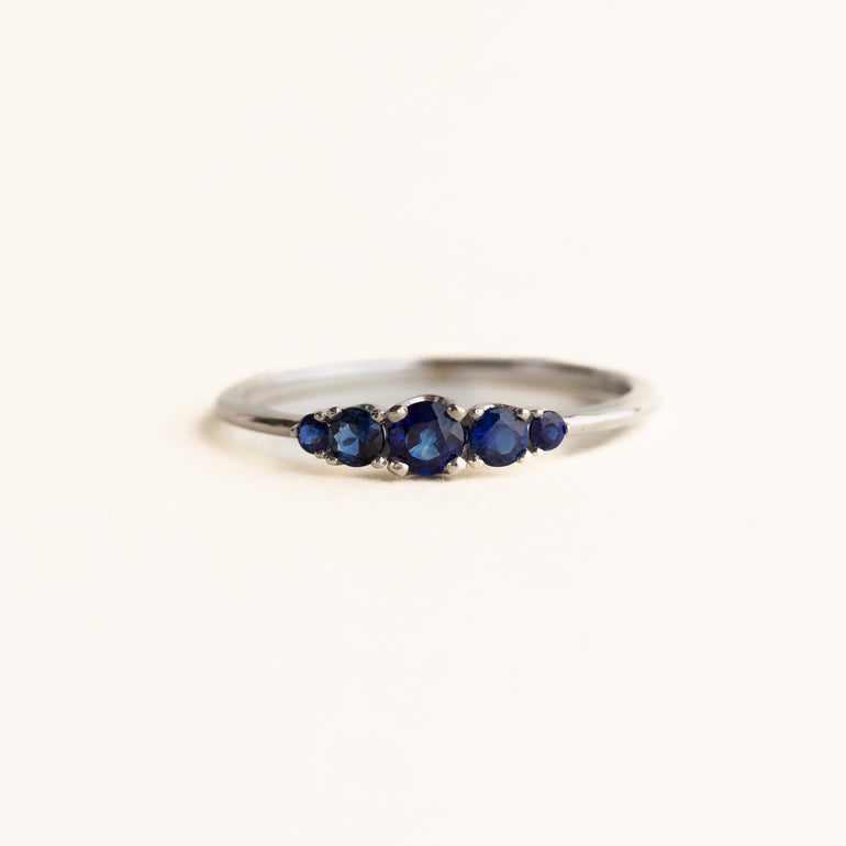 Round Five Stone Sapphire Engagement Ring